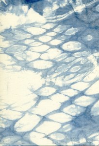 15_retaining_identity_gail